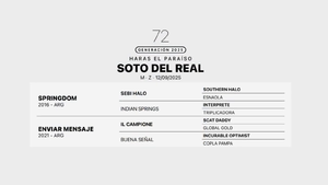  SOTO DEL REAL