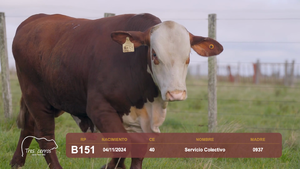 RP B151 — Escritorio Alori y Cia.