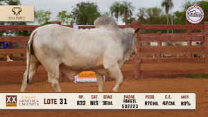 Lote 31 — Sola Marca SA