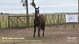 Dibu Ana Elvira — Escritorio Alori y Cia.