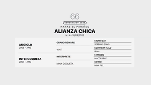  ALIANZA CHICA
