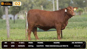  LOTE 2