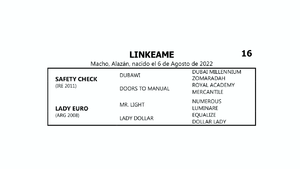  LINKEAME (SAFETY CHECK -  LADY EURO por  MR.LIGHT)