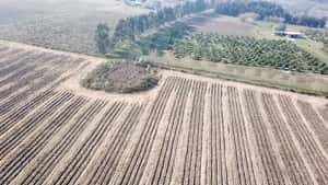  Chacra de 7.5 Hás en Canelones - Las Piedras