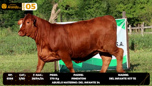  LOTE 5