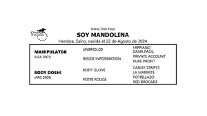  SOY MANDOLINA