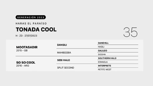  TONADA COOL