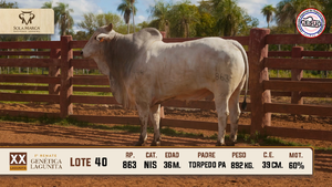 Lote 40 — Sola Marca SA