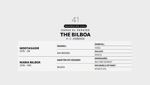  THE BILBOA