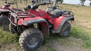 Lote 