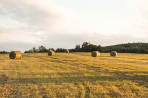 Venta de campo, 3000 Has