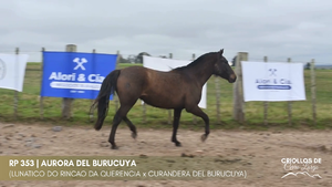 Aurora del Burucuya — Escritorio Alori y Cia.