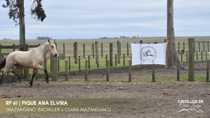 Pique Ana Elvira — Escritorio Alori y Cia.