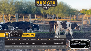  35 Terneros en Otra Localidad, San José
