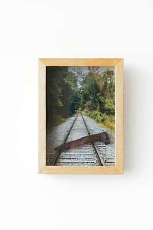 Lote LOTE 14 - RIELERO  "SERIE ARTE CONTEMPORÁNEO"