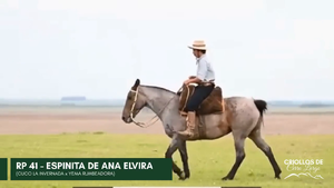  ESPINITA DE ANA ELVIRA