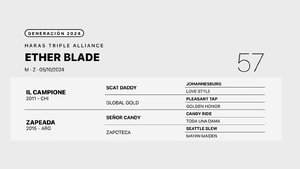  ETHER BLADE