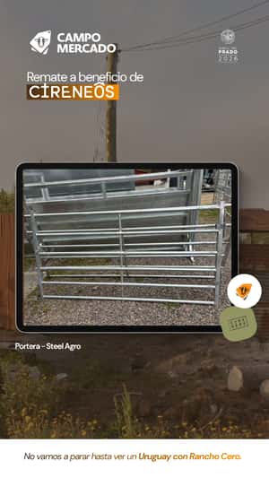 Lote Portera Steel Agro