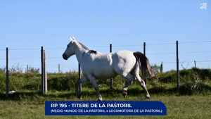  Titere de La Pastoril