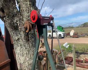 Lote MAQUINA ESQUILADORA