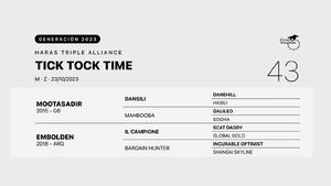  TICK TOCK TIME