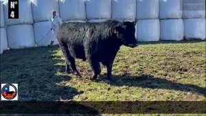  1 Toro