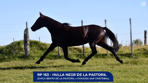  Huella negr de La Pastoril