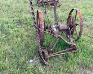 Lote PASTERA PARA CABALLOS
