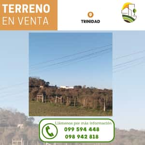 Terreno