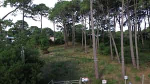  Prox Laguna Del Sauce- Destacados Terrenos 1280 M2 , A 200 Mt Ruta Interbalnearia