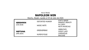  NAPOLEON WIN