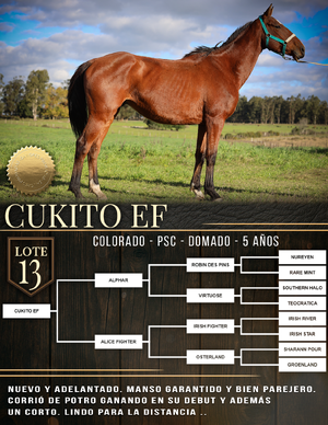  CUKITO EF