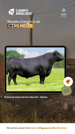 Lote Semen Selecta