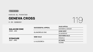  GENEVA CROSS