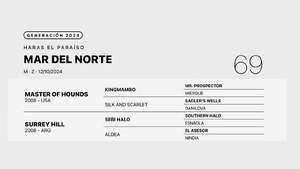  MAR DEL NORTE