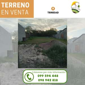 Terreno