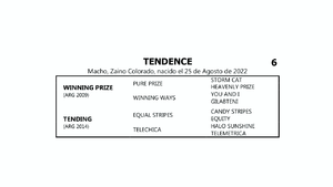  TENDENCE (WINNING PRIZE - TENDING por EQUAL STRIPES)