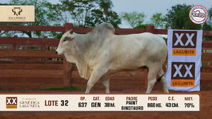 Lote 32 — Sola Marca SA