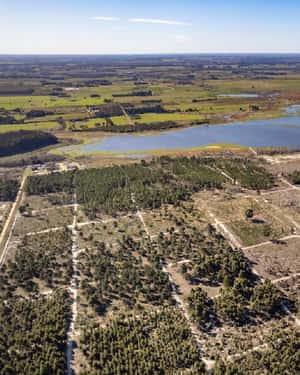 RESERVA DE CHACRAS, LAGUNA DEL CISNE 