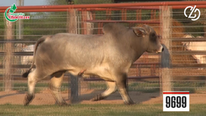  Brahman