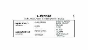  ALMENDRO (EQUAL STRIPES - A GREAT HONOR por INDYGO SHINER)