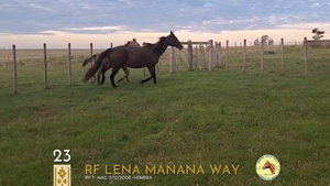  Rf Lena Mañana Way
