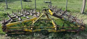 Lote Rastra de dientes 