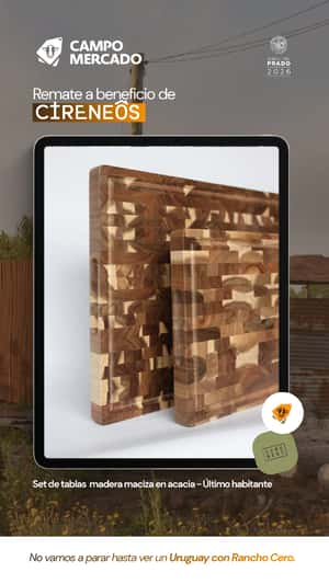 Lote Set de tablas Último Habitante