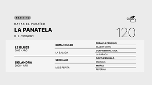  LA PANATELA