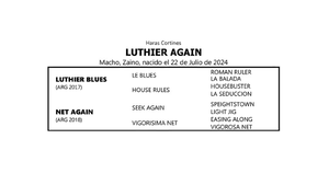  LUTHIER AGAIN