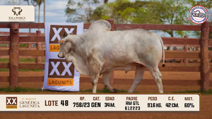 Lote 48 — Sola Marca SA
