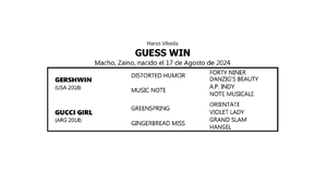  GUESS WIN