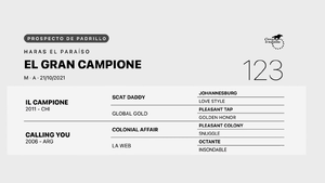  EL GRAN CAMPIONE