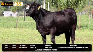  LOTE 35